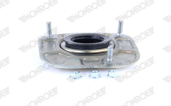 Fjäderbenslagring, Bak