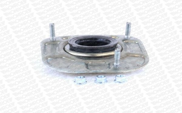 Fjäderbenslagring, Bak